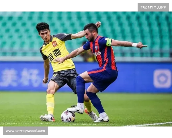 影响运动员赞助机会的因素：个人品牌价值与社交媒体粉丝数量